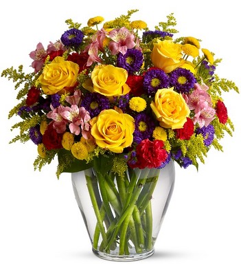 Brighten Your Day from Joseph Genuardi Florist in Norristown, PA